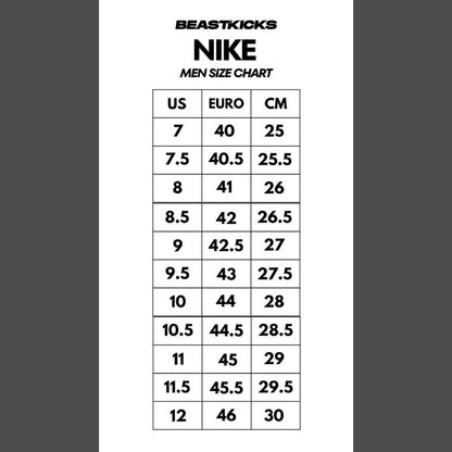 AIR MAX TRAVIS